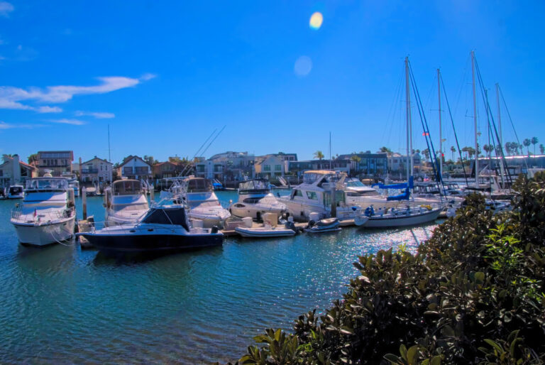 Dock
