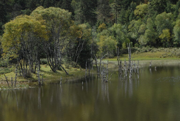 Lake