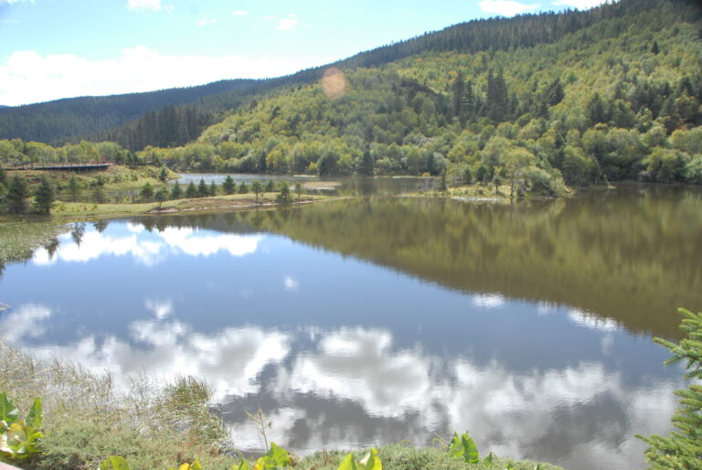 Roadside reflection