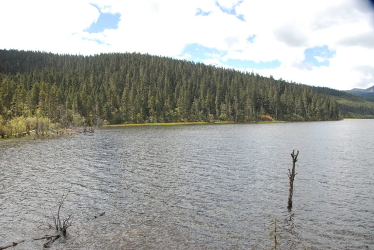 Lakeside